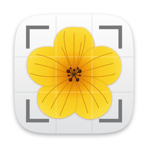 The Aster icon